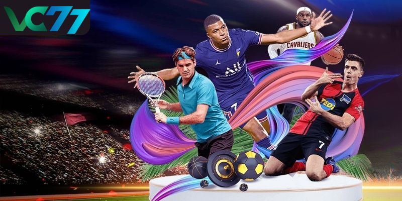 Introducing a few features about Sport VC77